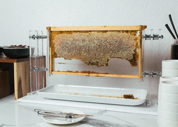 Anna Island * Pefkochori