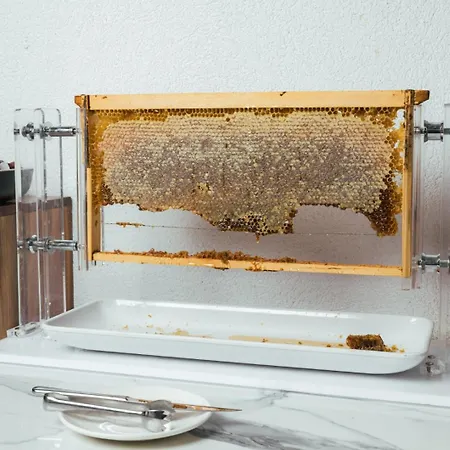 Anna Island * بيفكوهوري